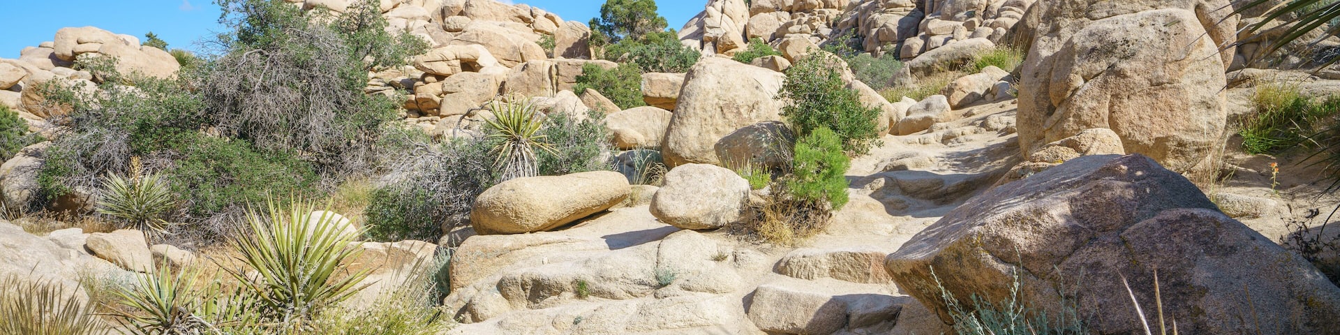 hiking the hidden valley trail in joshua tree national park, california, usa