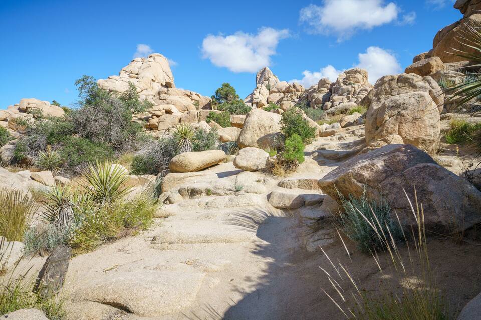 Un paysage désertique rocheux, parsemé de gros blocs de pierre et d’une végétation clairsemée.