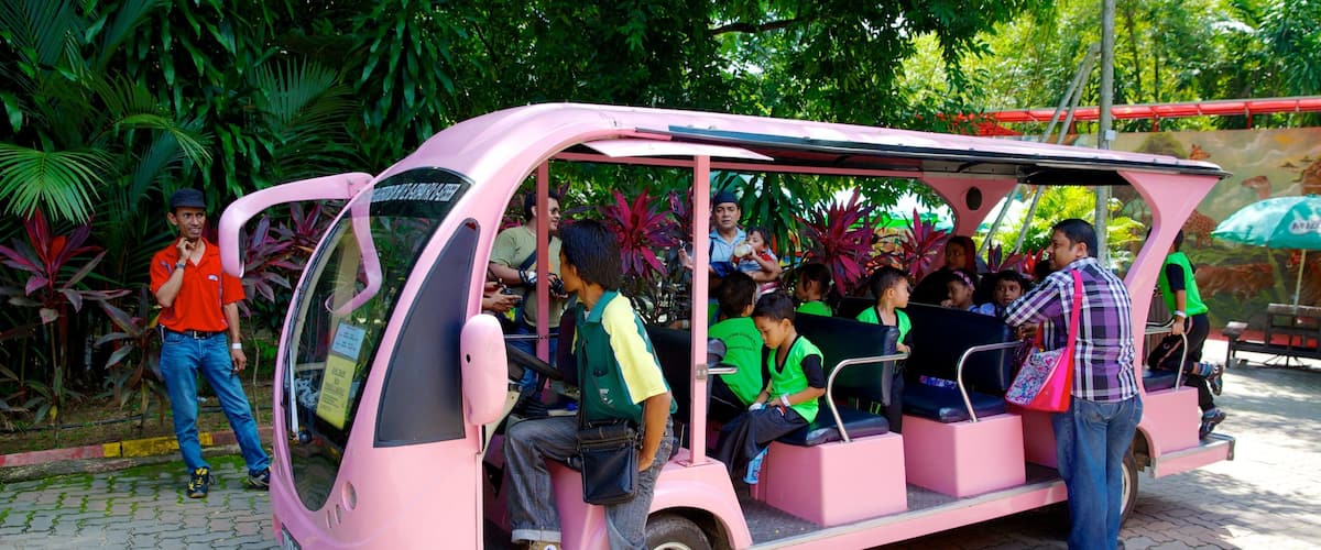 A pink vehicle with passengers, surrounded by lush greenery.