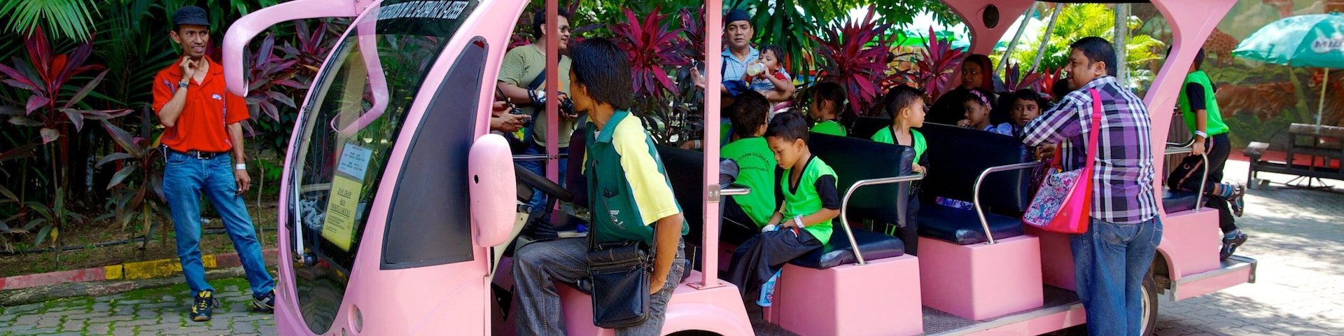 A pink vehicle with passengers, surrounded by lush greenery.