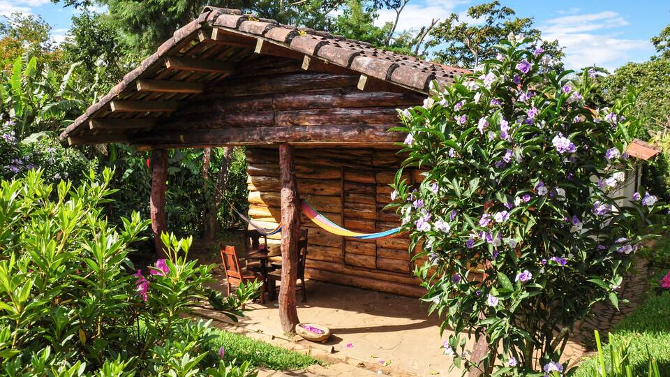 A rustic wooden cabin with a thatched roof surrounded by lush greenery and flowering plants.