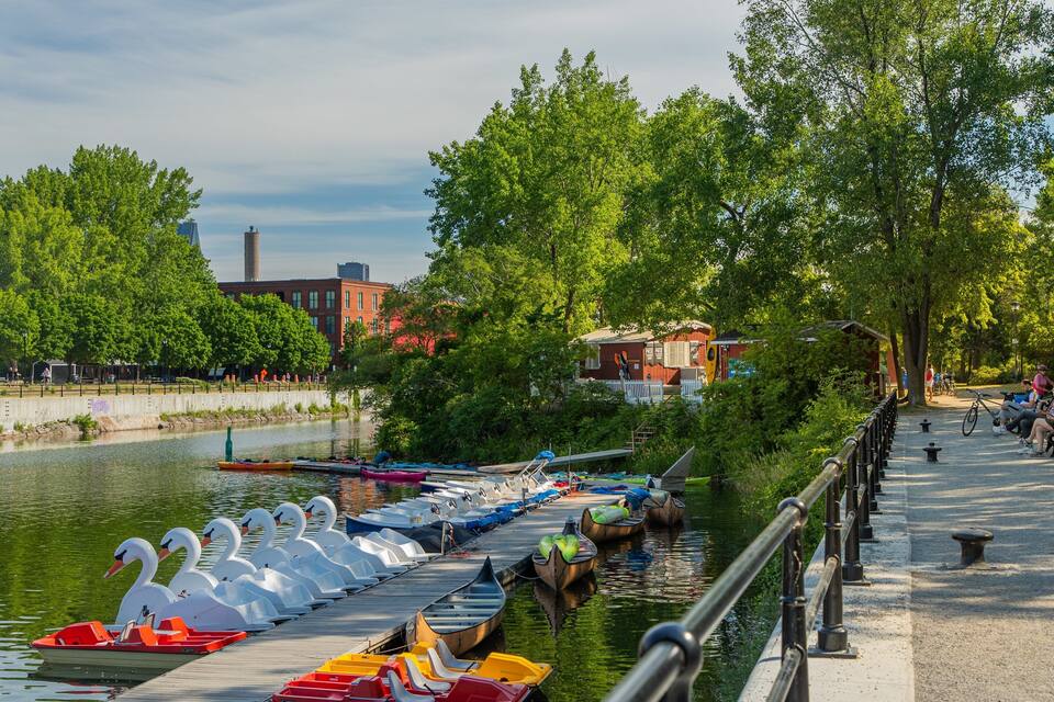 A riverside walkway with swan-shaped boats, a bridge, and a park with trees and benches.