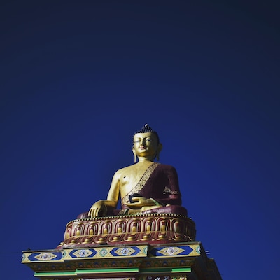 The profound beauty. Calms your soul, lifts your spirit, makes you forget the toilet you put together to reach here.
#buddha #statue #tawangmonastery