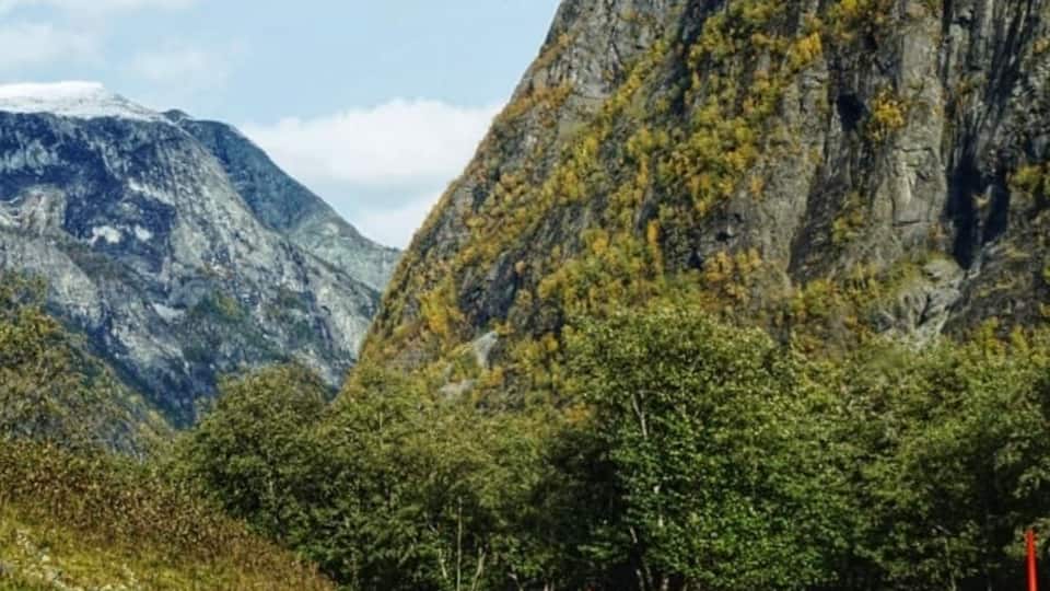 En flock getter på en bergsväg med ett bergigt landskap i bakgrunden.