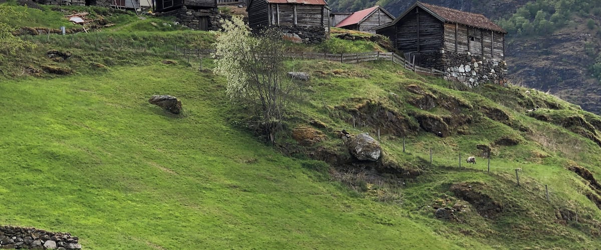 We hiked 6 miles (round trip) from Flåm to the Otternes farm collective site.  It is an easy and scenic hike along the fjord on paved path, with just the last 1/2 mile or so uphill walking.
The collective farm is now an historic site and a nice diversion from Flåm.
#Culture