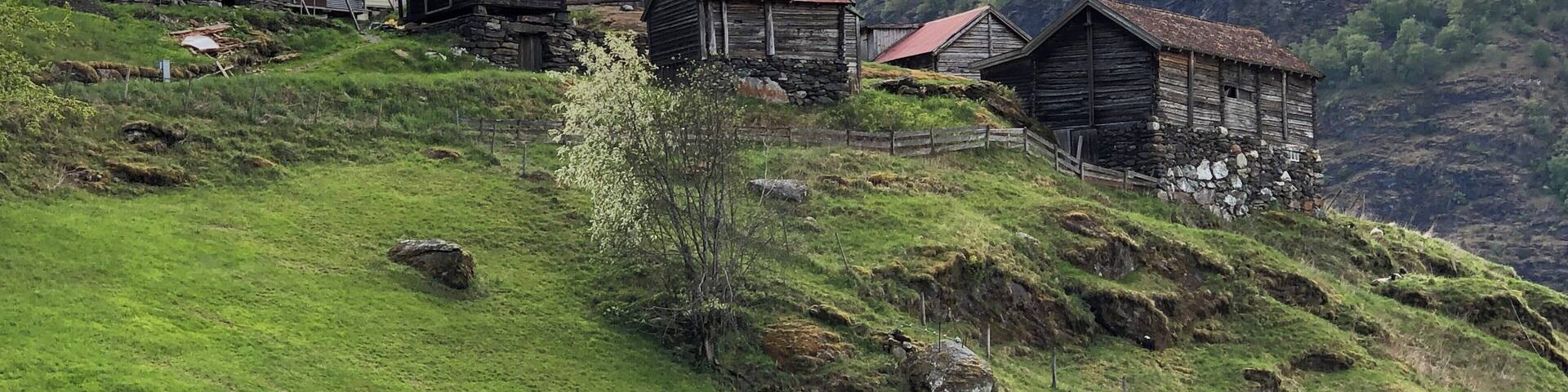 We hiked 6 miles (round trip) from Flåm to the Otternes farm collective site. It is an easy and scenic hike along the fjord on paved path, with just the last 1/2 mile or so uphill walking.
The collective farm is now an historic site and a nice diversion from Flåm.
#Culture