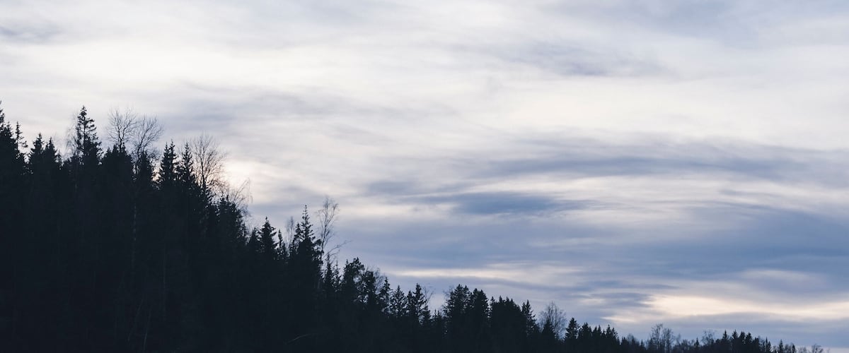 A calm lake with a forested shoreline and a cloudy sky.