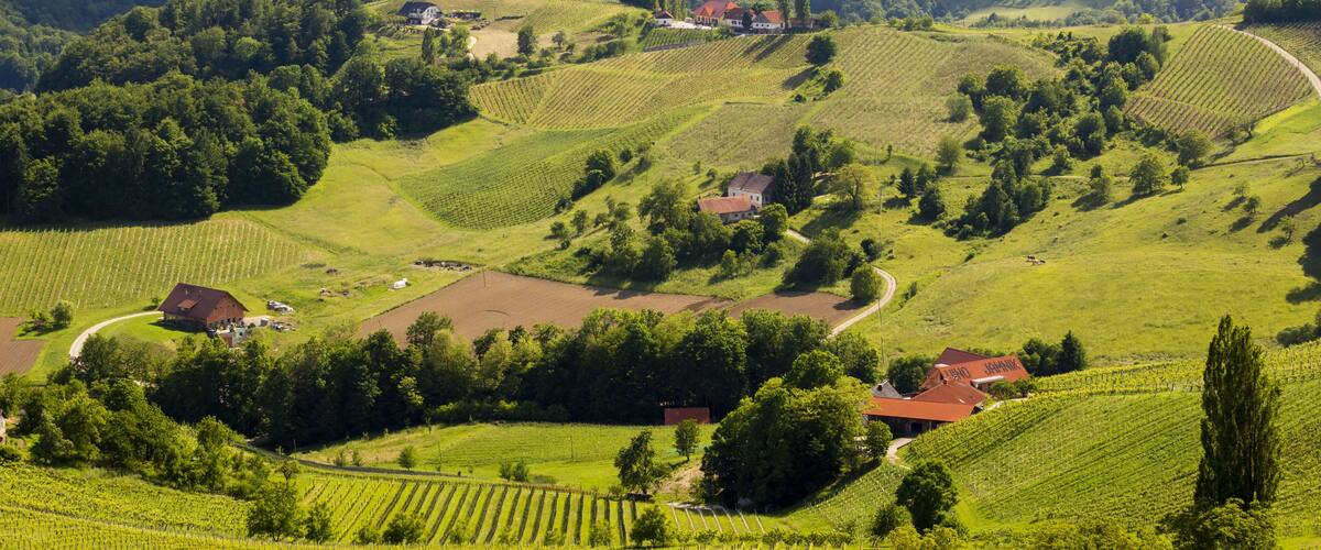 Rolling hills, vineyards, and scattered houses in a rural landscape.
