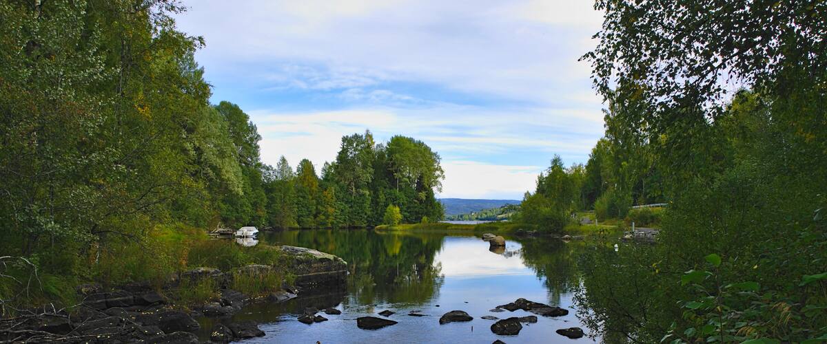 A calm river with rocks and lush greenery on both sides.