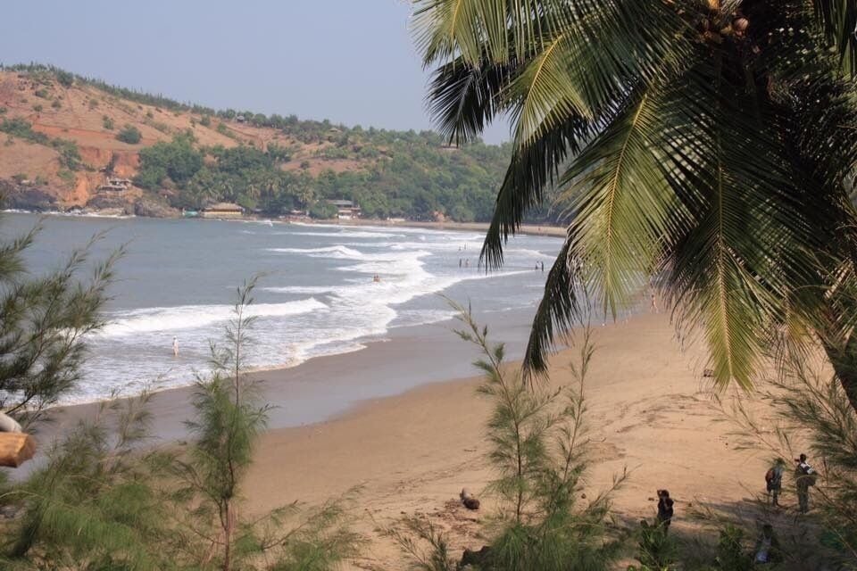 Una playa con olas, palmeras y un paisaje montañoso al fondo.