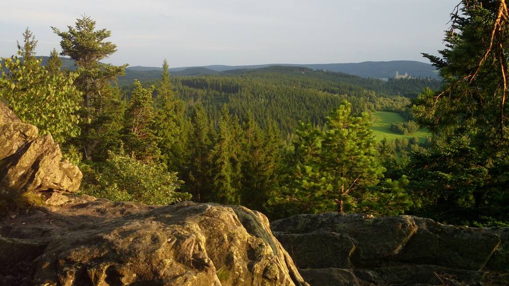 A forested landscape with a view of distant hills and a castle-like structure.