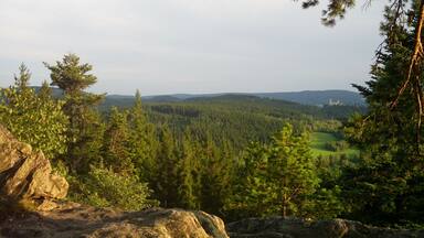 hrad Kašperk ze Sedla