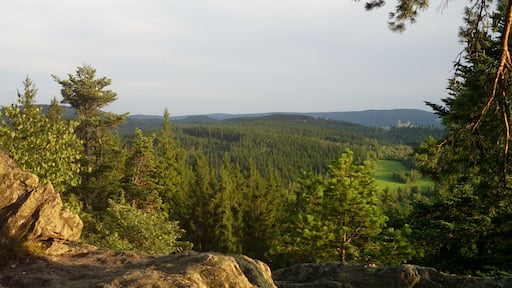 hrad Kašperk ze Sedla