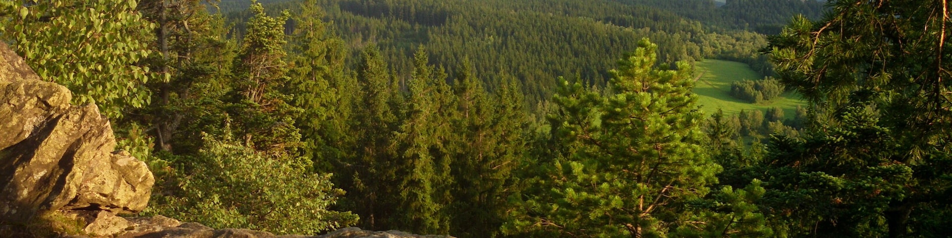 hrad Kašperk ze Sedla