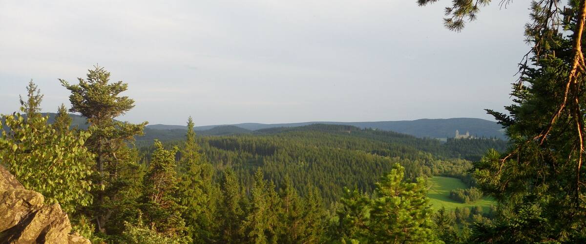 A forested landscape with a view of distant hills and a castle-like structure.