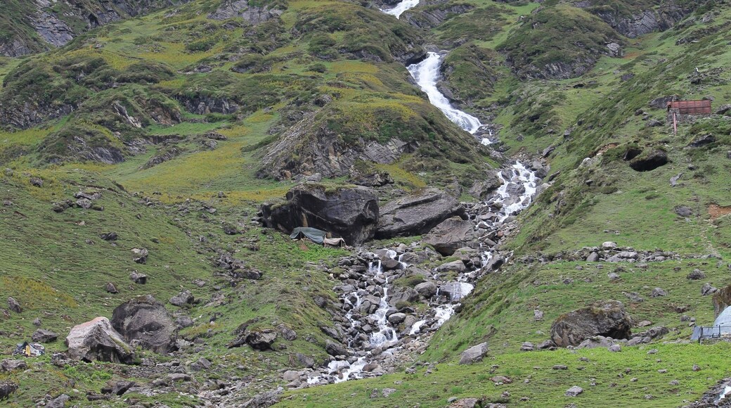 This trip was very exciting as we were saved by hair inch by the Kedarnath disaster. This pic is one day before of that disaster. Everything green got covered into water due to flood.
#green #waterfall #incredibleindia #kedarnath #northindia #nature #water #kedarnath_disaster #char_dham #uttrakhand