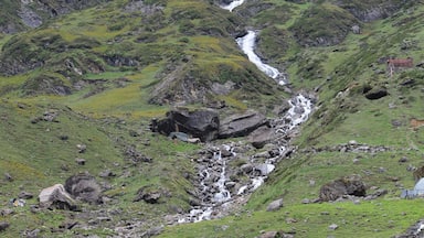 This trip was very exciting as we were saved by hair inch by the Kedarnath disaster. This pic is one day before of that disaster. Everything green got covered into water due to flood.
#green #waterfall #incredibleindia #kedarnath #northindia #nature #water #kedarnath_disaster #char_dham #uttrakhand