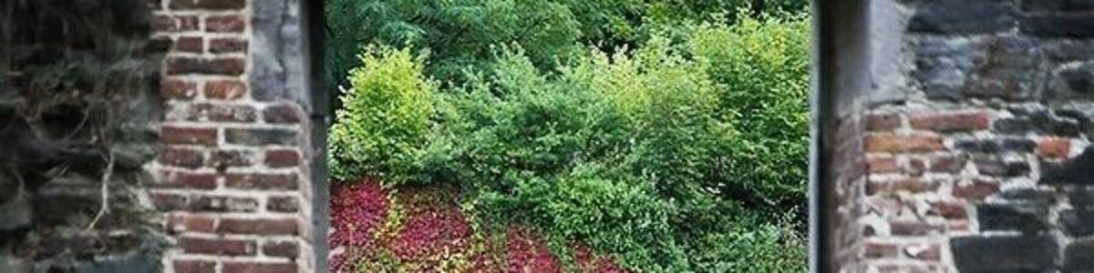 Pillers in the ruine of Villers