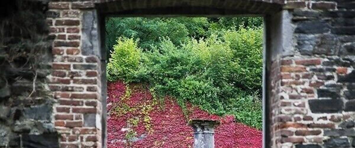 Pillers in the ruine of Villers