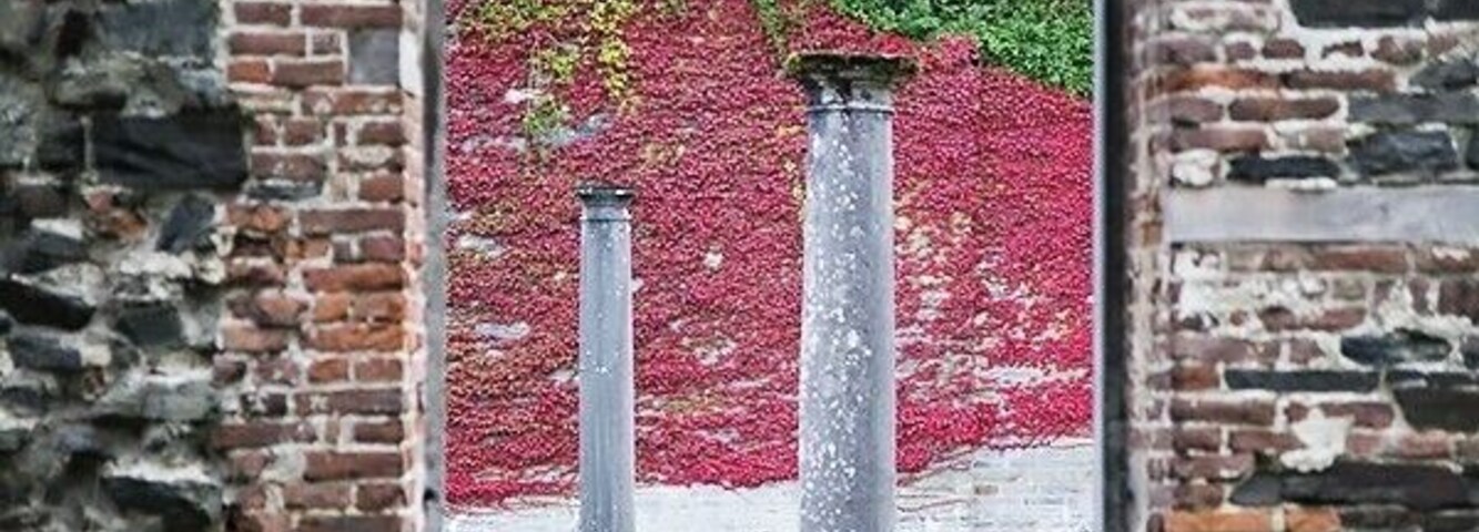 Pillers in the ruine of Villers