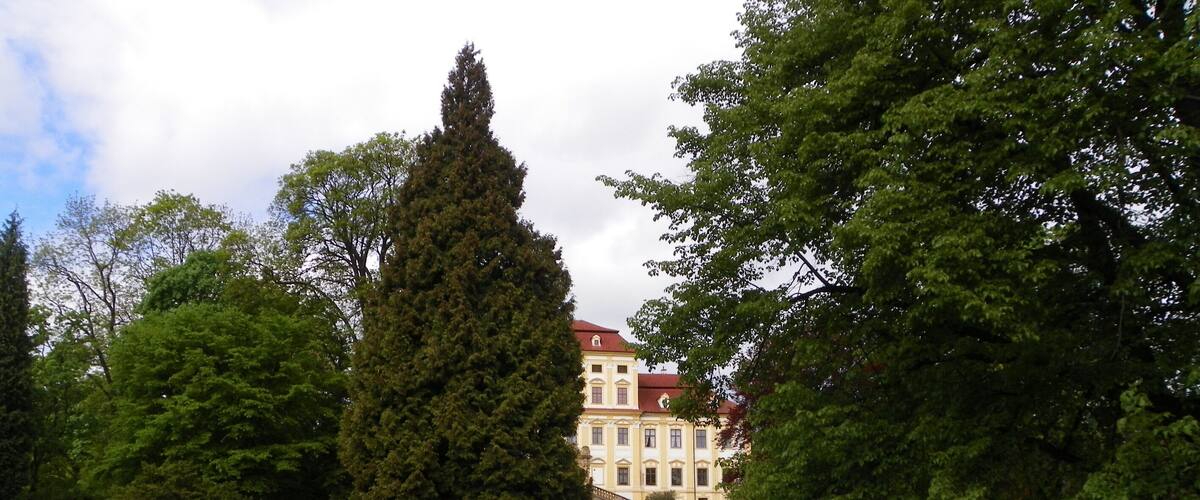 A large, well-maintained lawn with a prominent tall tree and a building with a red roof in the background.