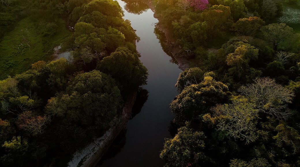 Colonia Benitez, Chaco, Argentina