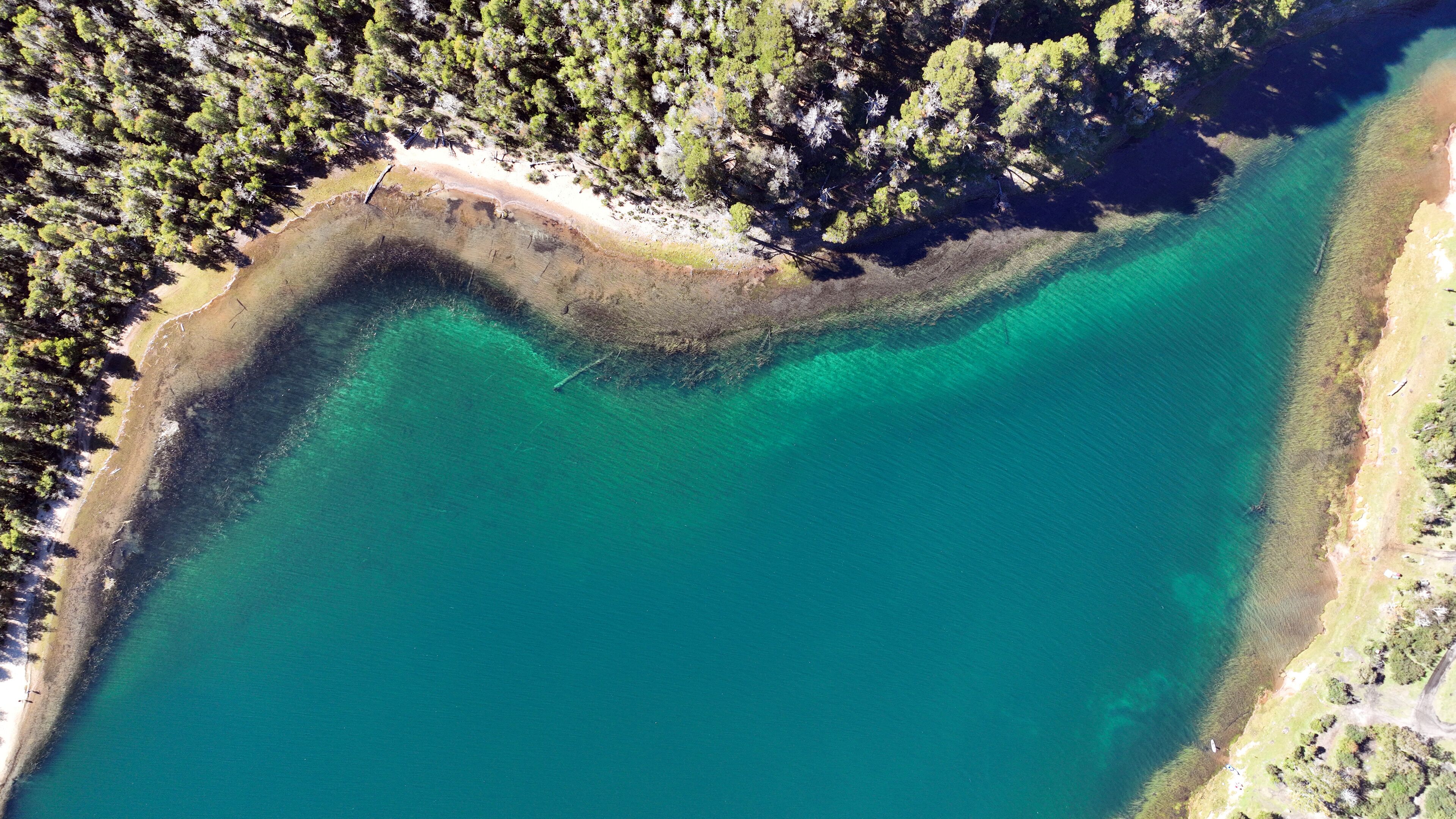 A turquoise coastal area with a sandy beach and dense forest.