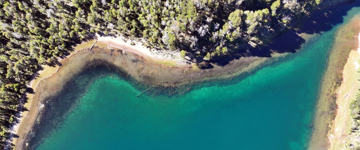 A turquoise coastal area with a sandy beach and dense forest.