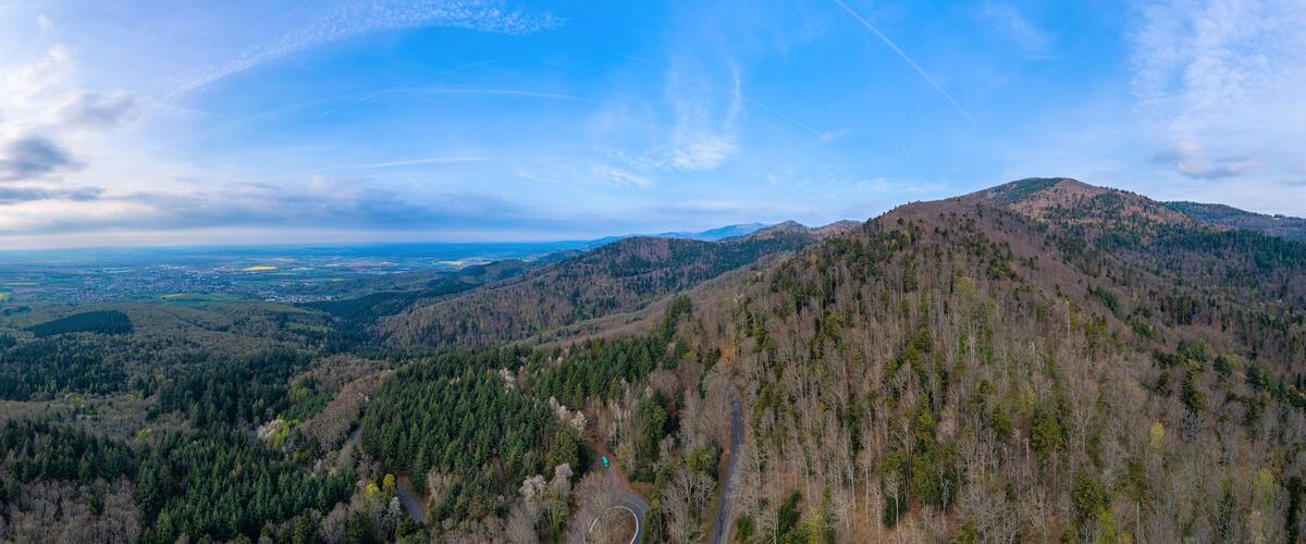 A mountainous landscape with dense forests, a winding road, and a distant view of a town.
