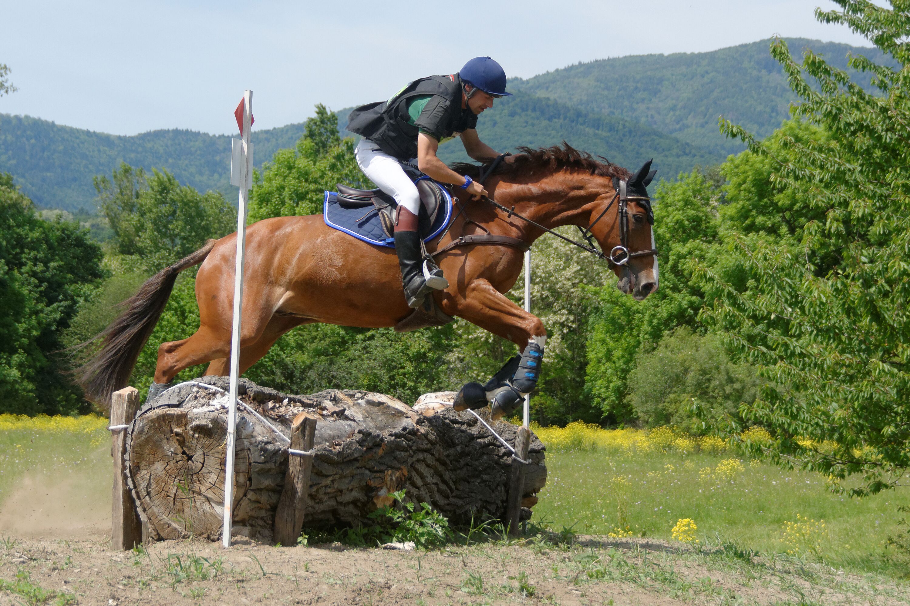 Personality rights Personality rights warningAlthough this work is freely licensed or in the public domain, the person(s) shown may have rights that legally restrict certain re-uses unless those depicted consent to such uses. In these cases, a model release or other evidence of consent could protect you from infringement claims. Though not obliged to do so, the uploader may be able to help you to obtain such evidence. See our general disclaimer for more information.