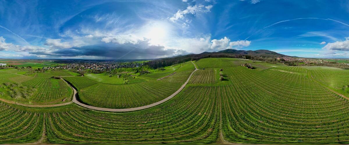 360 panorama aerial drone view above the Uffholtz and Wattwiller villages green vineyard hills in a Alsatian valley by sunny day with blue sky, dark stormy clouds in the distance, with paths