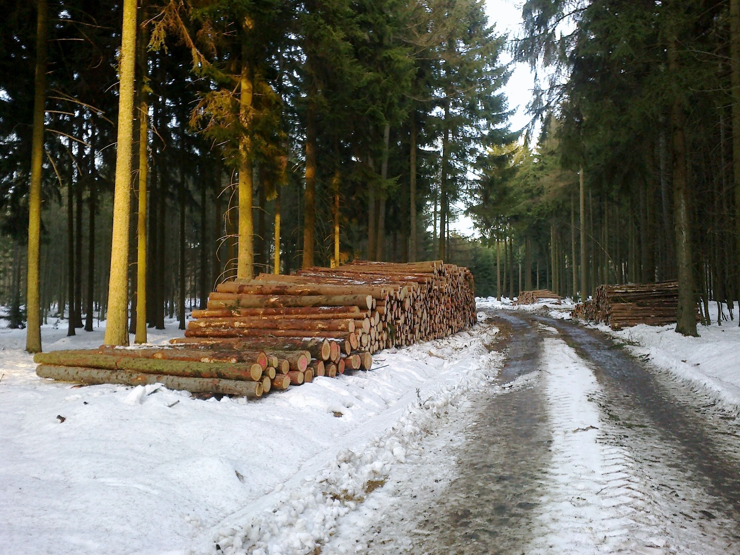 Varnsdorf, Czech Republic