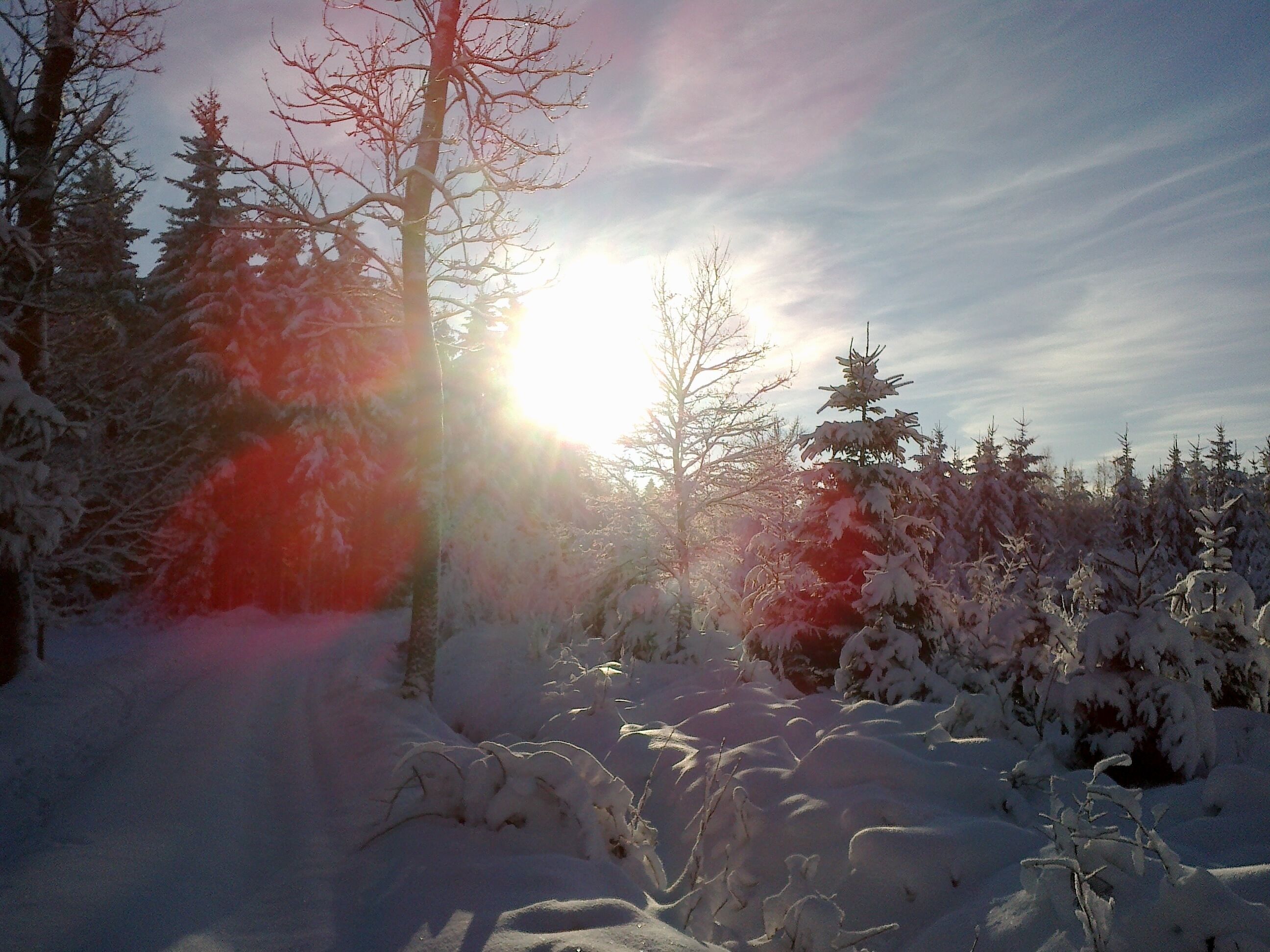Varnsdorf, Czech Republic