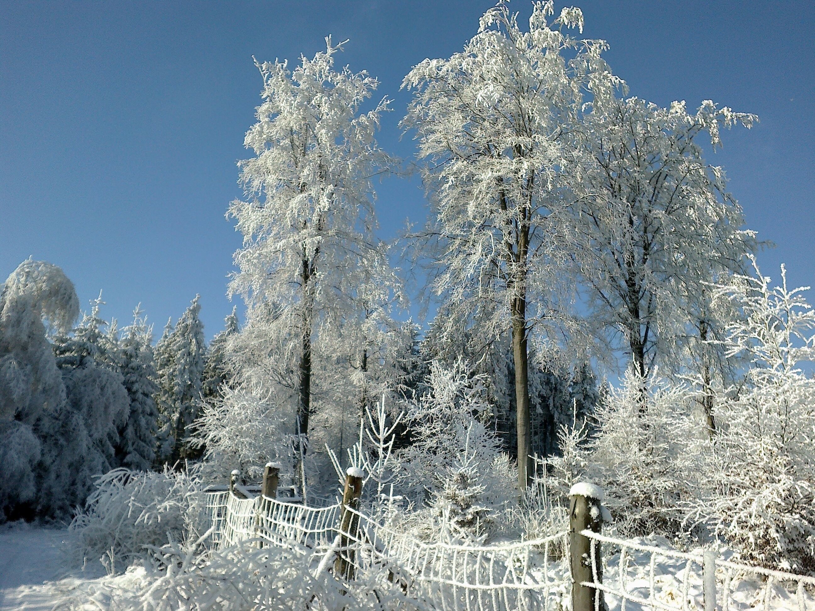 Varnsdorf, Czech Republic