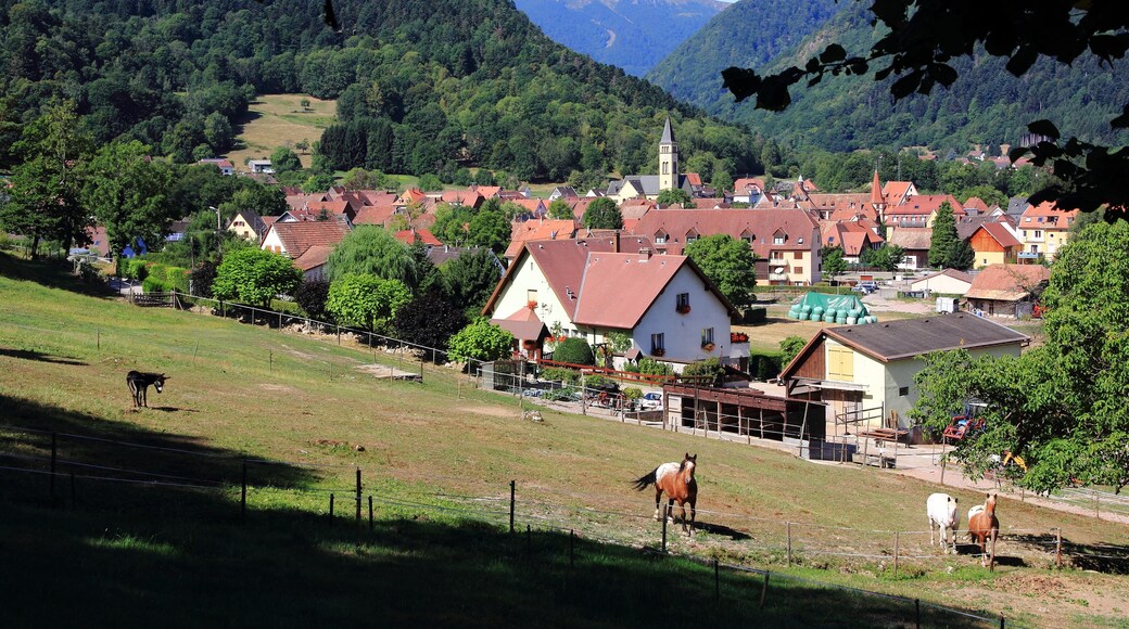 Metzeral, village touristique des Vosges
