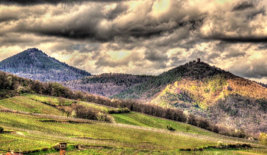 Famous wine route in the Vosges mountains - Alsace, France