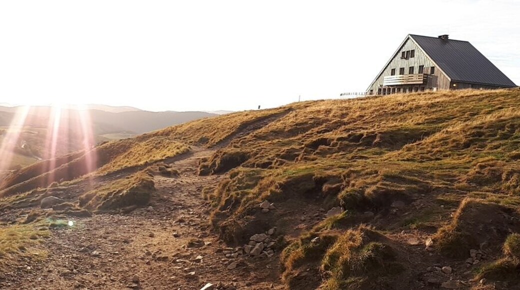 The Hohneck, west panorama.