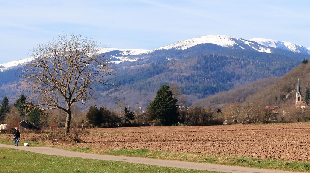 ルッテンバッハ プレ ミュンステ