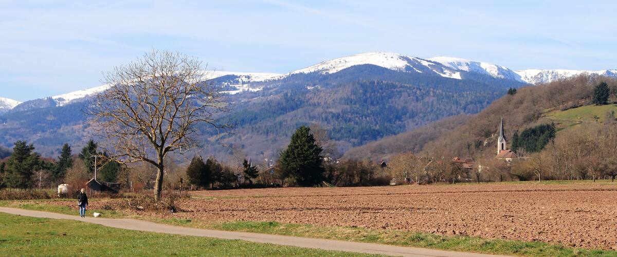 A rural landscape with a clear path, a leafless tree, a plowed field, and snow-capped mountains in the background.