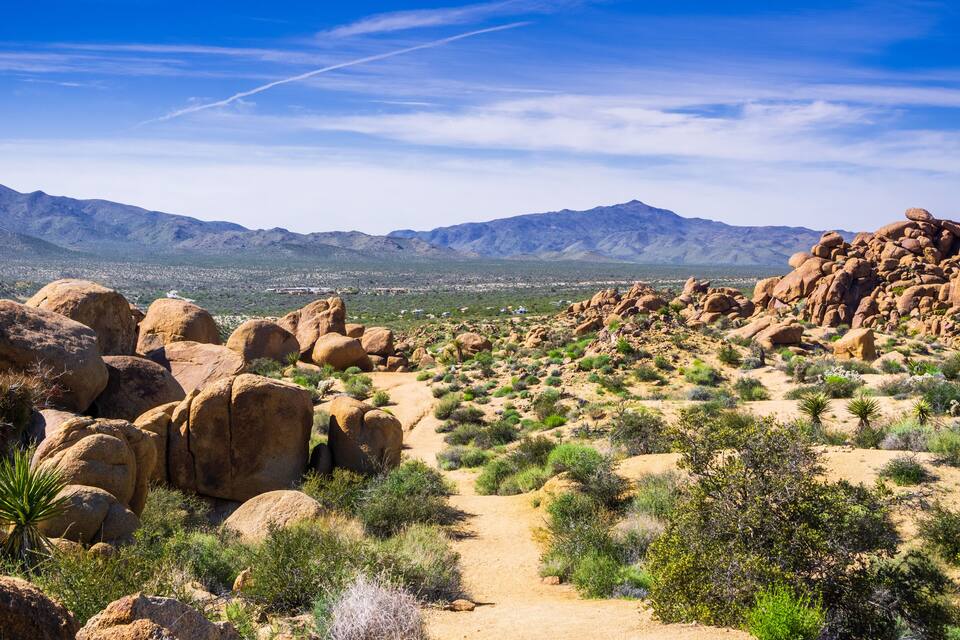 Paisaje desértico con grandes rocas, vegetación escasa y montañas distantes bajo un cielo despejado.
