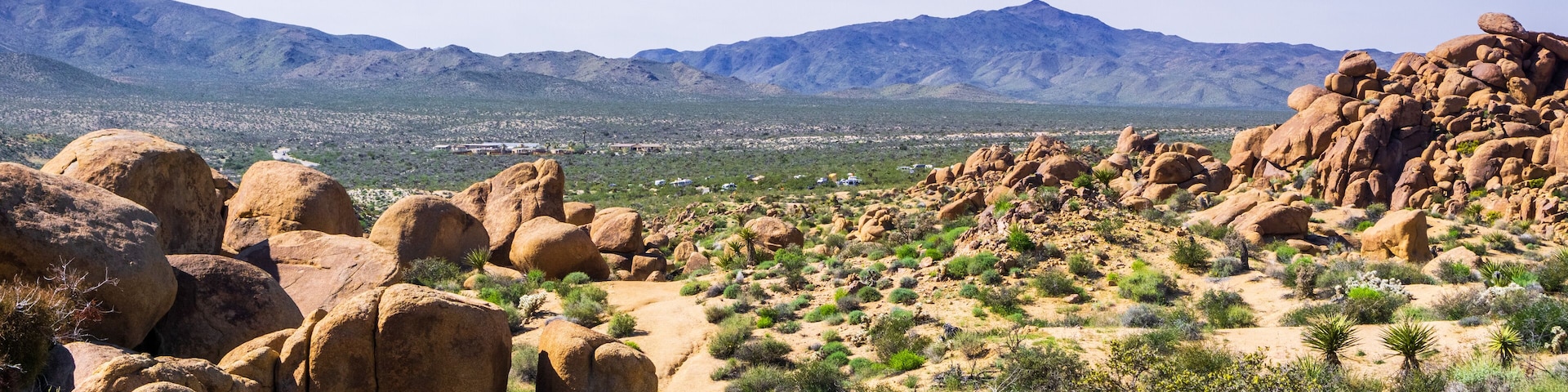 View towards Cottonwood Visitor Center and the campground from the trail, Joshua Tree National Park, California