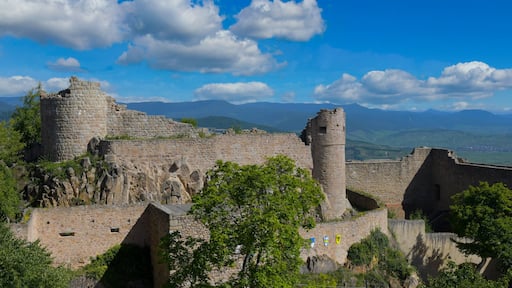 Hohlandsbourg oberhalb von Wintzenheim im Elssass
