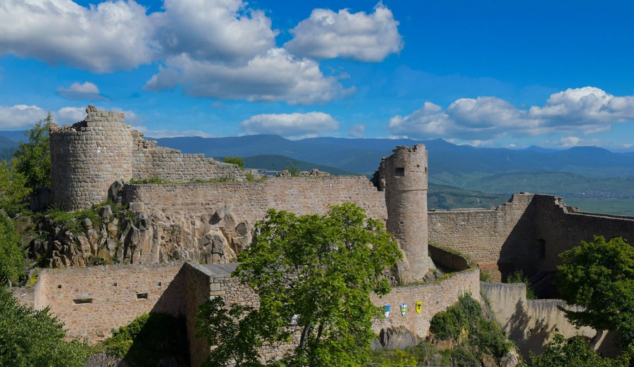 Hohlandsbourg oberhalb von Wintzenheim im Elssass