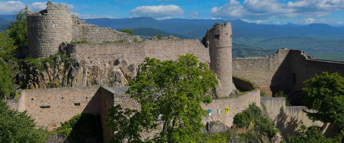 Hohlandsbourg oberhalb von Wintzenheim im Elssass