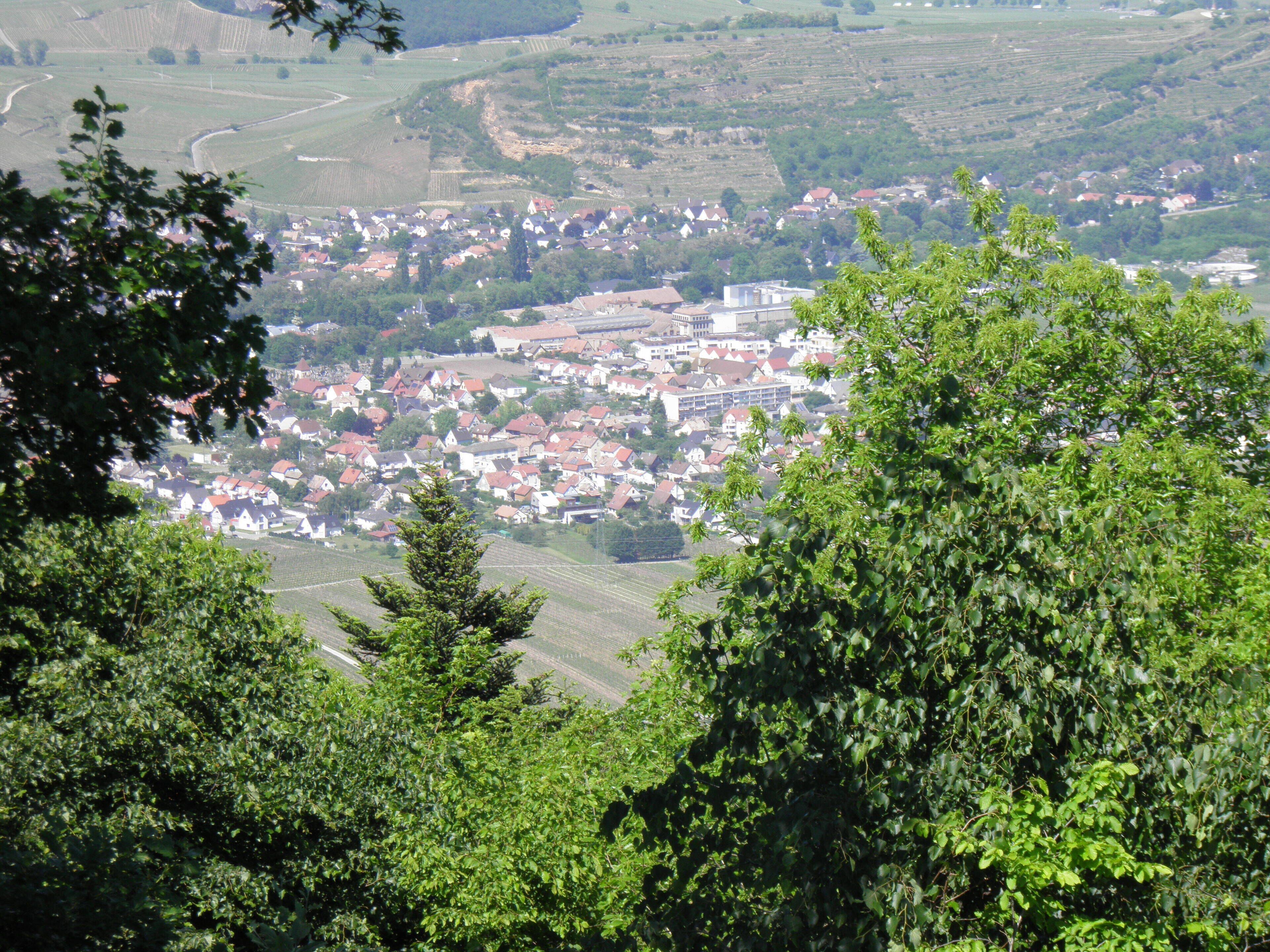 Vue de Turckheim depuis le château du Hohlandsbourg (654 m) (Haut-Rhin, France).