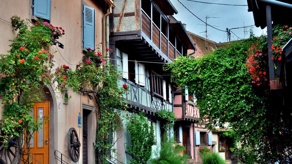A narrow street with traditional half-timbered houses, a wooden door, and red flowers growing on the walls.