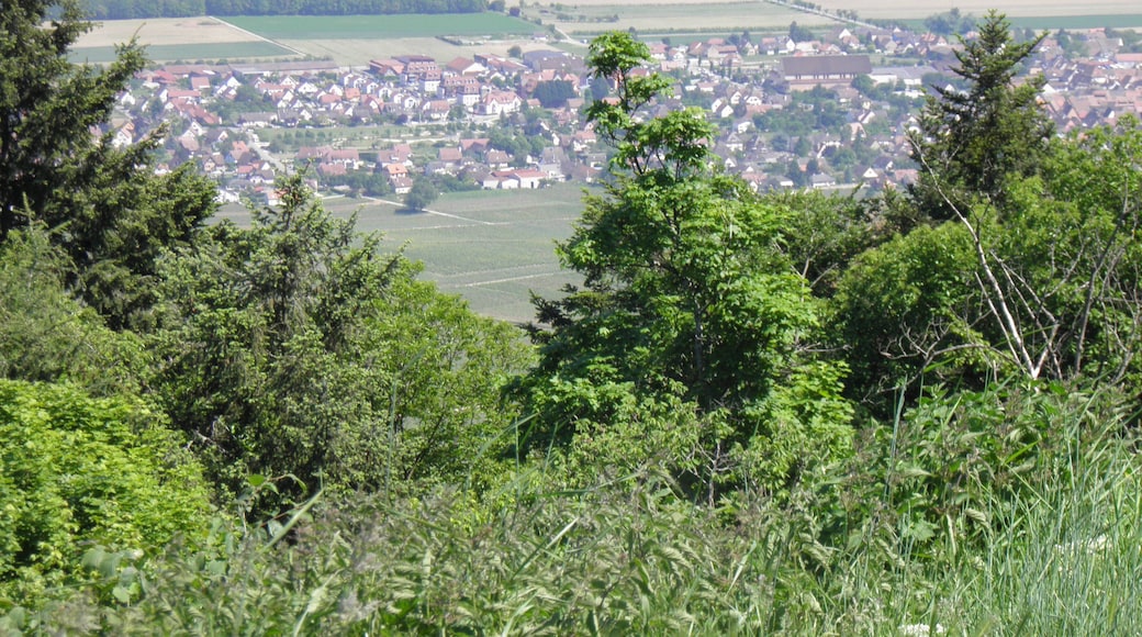 Vue d'Eguisheim depuis le château du Hohlandsbourg (654 m) (Haut-Rhin, France).
