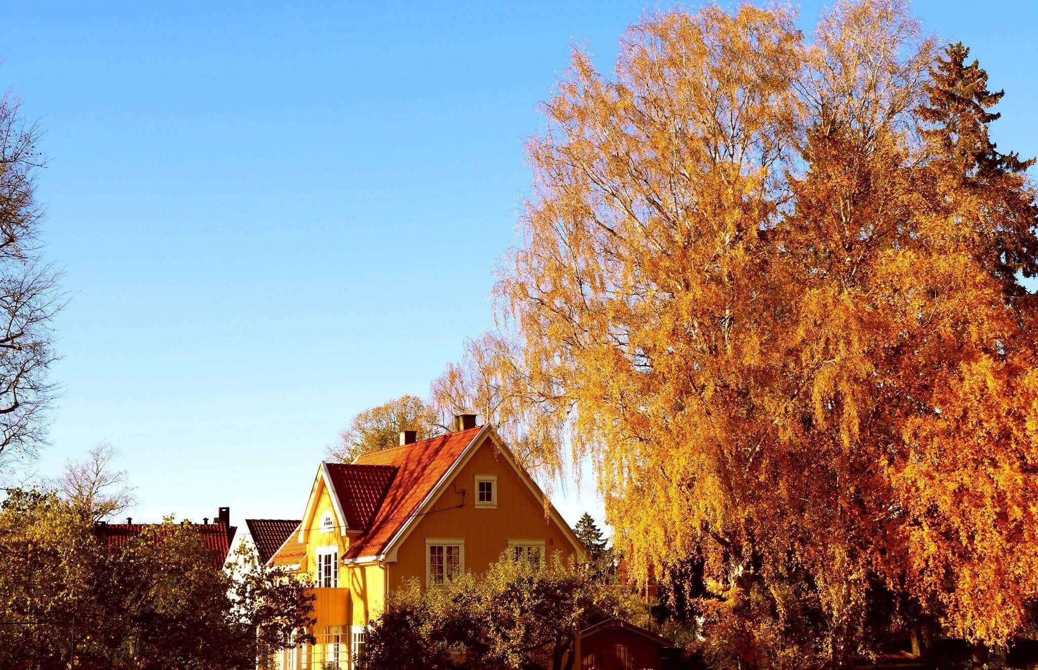 Quaint yellow houses and stunning yellow trees really make the colours of Oslo in the Autumn a spectacular photographers dream. 