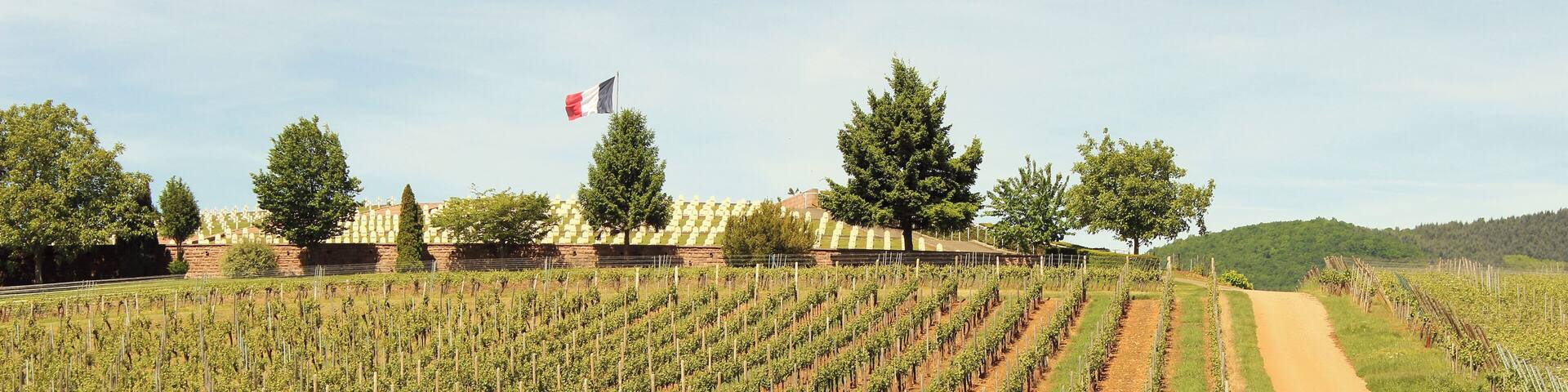 2017-05-21-11-39-27_Les Forts Trotters_au Sentier des Grands Crus