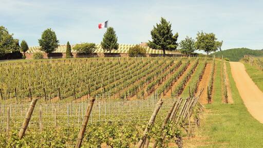 2017-05-21-11-39-27_Les Forts Trotters_au Sentier des Grands Crus